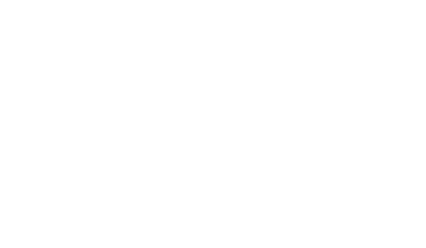 Jet Aviation