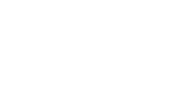 VIP Service Schiphol
